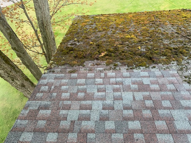 Commercial Roof Cleaning Services near me Syracuse Manlius Camillus Central New York