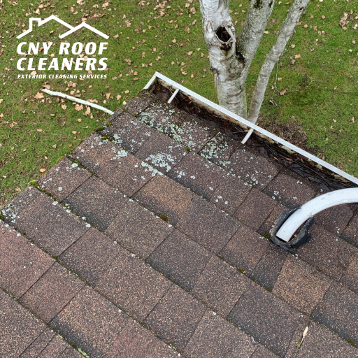 lichen moss on roof cicero liverpool minoa east syracuse