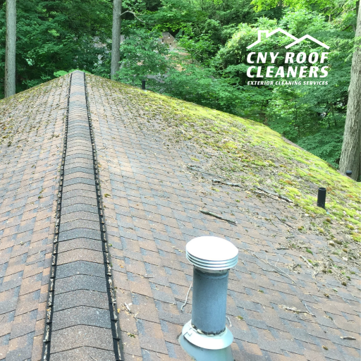 moss on roof cleaning near me cicero medium_orig