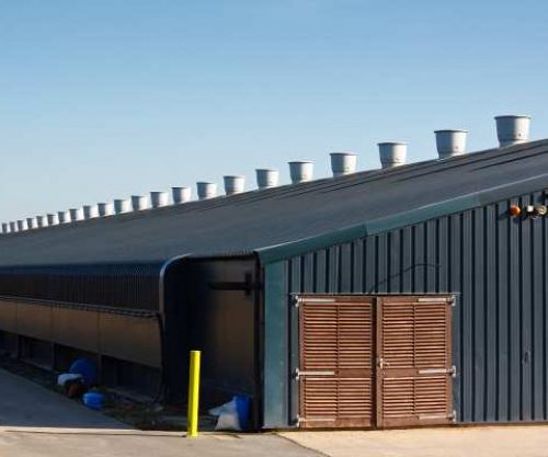 Untitled design (61)