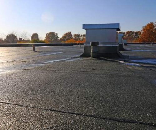 Untitled design (62)